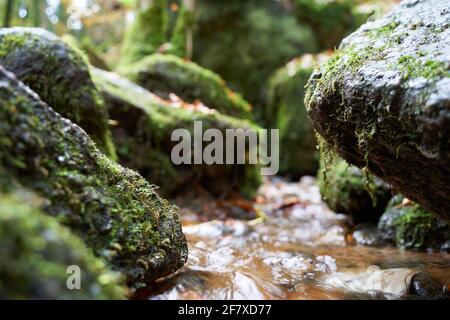 Cliché sélectif d'une rivière le long de rochers avec de la mousse Banque D'Images