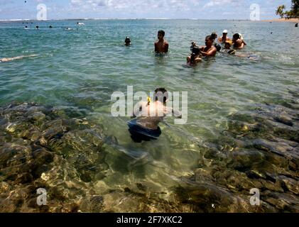 marau, bahia / brésil - 27 décembre 2011: On voit des gens plonger dans une piscine naturelle sur la plage de Taipu de Fora, dans le quartier de Barra Grande, dans le mu Banque D'Images