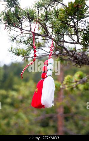 Martenitsa rouge et blanc bulgare attaché à un arbre à feuilles persistantes Banque D'Images