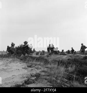 Répétez les exercices du corps de Mariniers dans le Veluwe dans la région d'Elspeet. Banque D'Images