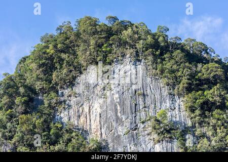 Falaises calcaires dans la forêt tropicale près de Deer Cave, Mulu, Malaisie Banque D'Images