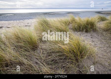 Marais, dunes et plage de galets, Aberdew, pays de Galles, Royaume-Uni Banque D'Images