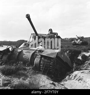 Chars de combat moyens du type de RAM II pendant un exercice. Banque D'Images