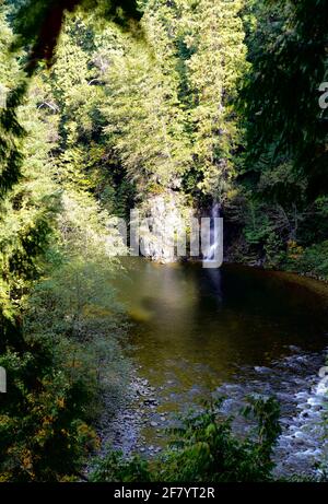 Un petit étang entouré d'arbres verts et d'une petite cascade, avec des ruisseaux qui coulent dans le parc du pont suspendu Capilano du Canada. Banque D'Images