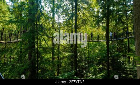 Personnes marchant sur un pont suspendu en bois, entouré de grands arbres, dans le parc du pont suspendu Capilano du Canada. Banque D'Images