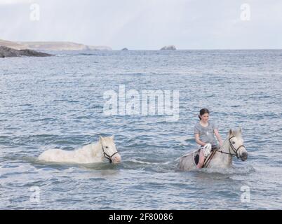 Duneen Beach, Kinsale, Cork, Irlande. 10 avril 2021. Rosie Hogan emmène son Connemara Ponies Milly et Bobby Joe sauvés pour une baignade dans la mer à Duneen Beach, Co. Cork, Irlande. - crédit; David Creedon / Alamy Live News Banque D'Images