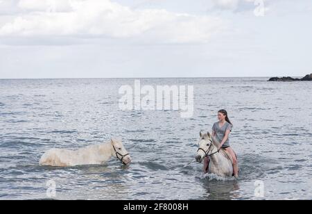 Duneen Beach, Kinsale, Cork, Irlande. 10 avril 2021. Rosie Hogan emmène son Connemara Ponies Milly et Bobby Joe sauvés pour une baignade dans la mer à Duneen Beach, Co. Cork, Irlande. - crédit; David Creedon / Alamy Live News Banque D'Images