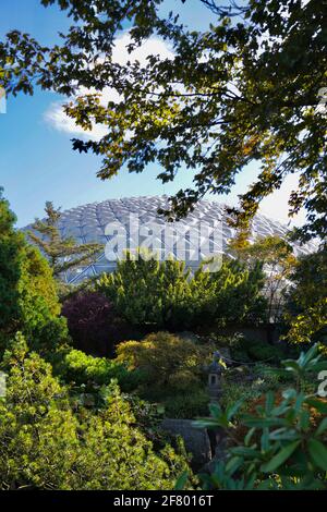 Bloedel Conservatory, le jardin tropical du parc Queen Elizabeth de Vancouver, Canada, en forme de dôme sous ciel bleu. Banque D'Images