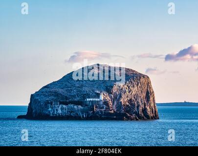 Bass Rock colonie de gannet d'oiseaux de mer au lever du soleil à Firth of Forth avec l'île de Mai à horizon, Écosse, Royaume-Uni Banque D'Images