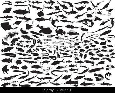 Big vector collection de silhouettes de poissons différents Illustration de Vecteur