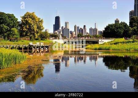 Chicago, Illinois, États-Unis. Un segment de l'horizon de la ville qui se reflète dans le South Pond au zoo de Lincoln Park en fin d'après-midi d'été. Banque D'Images