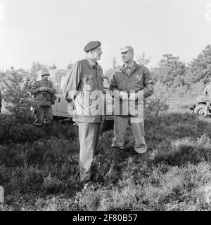 Répétez les exercices du corps de Mariniers dans le Veluwe dans la région d'Elspeet. Général-major de la Nass Mariniers est informé du déroulement de l'exercice. Banque D'Images