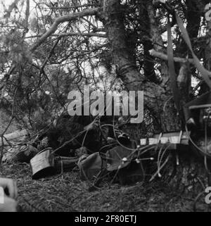 Répétez les exercices du corps de Mariniers dans le Veluwe dans la région d'Elspeet. Un bon camouflage Marine Junction service est à la recherche de contact. Banque D'Images