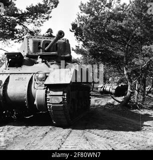 Deux chars de combat moyens du type de RAM II traversent la forêt pendant un exercice. Banque D'Images