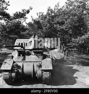 Deux chars de combat moyens de type RAM II dans un environnement forestier. Banque D'Images