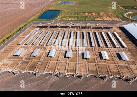 Les parcs de vente du Central West Livestock Exchange près de Forbes in Région Nouvelle-Galles du Sud en Australie Banque D'Images