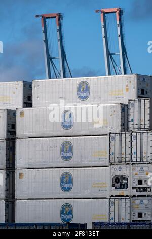 Helsinki / Finlande - 10 AVRIL 2021 : pile de conteneurs Chiquita blancs dans le port en attente d'expédition. Banque D'Images