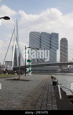 Le célèbre pont Erasmus au-dessus de la Meuse à Rotterdam, aux pays-Bas Banque D'Images
