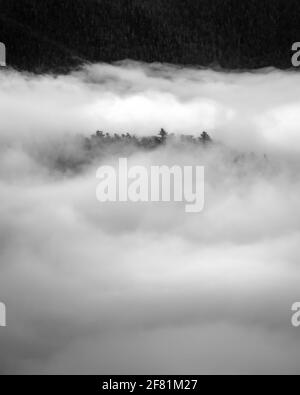 Une île d'arbres traverse la brume tandis que le brouillard tourbillonne autour des vallées du parc national de Shenandoah. Banque D'Images