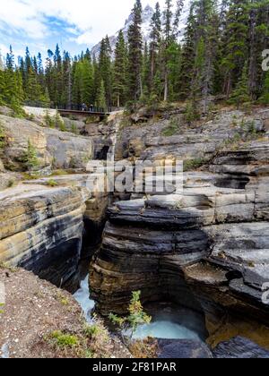 l'eau forgeant son chemin dans les rochers dans le désert en été avec des pins Banque D'Images