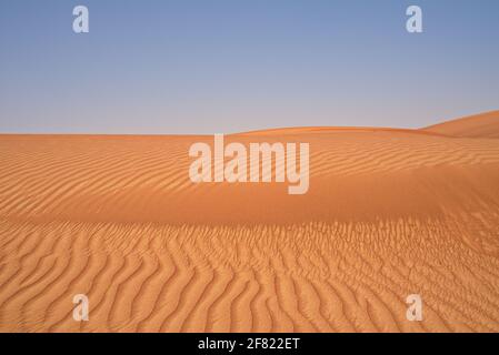 Autour de Nazwa et du désert de roche rose, observation du sable et de la plante dans le désert, sharjah, Émirats arabes Unis Banque D'Images