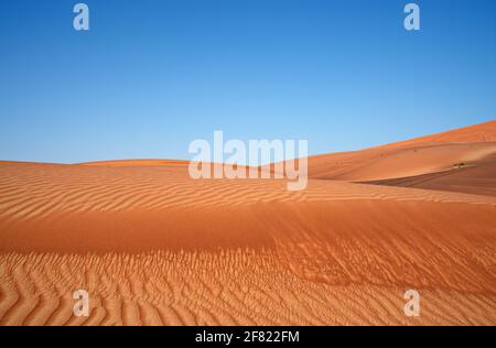 Autour de Nazwa et du désert de roche rose, observation du sable et de la plante dans le désert, sharjah, Émirats arabes Unis Banque D'Images