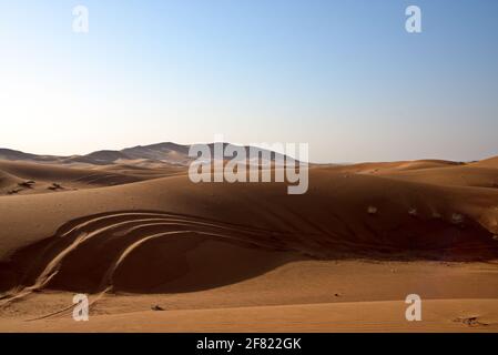 Autour de Nazwa et du désert de roche rose, observation du sable et de la plante dans le désert, sharjah, Émirats arabes Unis Banque D'Images