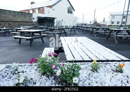 Un léger dépoussiérage de neige couvre le coin salon extérieur du Queens Head à Cullercoats, sur la côte nord-est, tandis que le pub se prépare à rouvrir son espace extérieur à partir d'avril 12, et les clients y sont invités à nouveau à partir de mai 17. Date de la photo: Dimanche 11 avril 2021. Banque D'Images