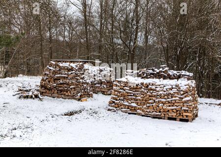 Pile de bois de chauffage. Bois de feu neigeux dans la forêt d'hiver en République tchèque. Chauffage écologique. Entrepôt de bois. Banque D'Images