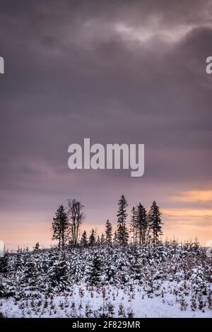 Coucher de soleil au-dessus du paysage d'hiver dans les montagnes avec des arbres enneigés et un ciel spectaculaire. Cloudscape au crépuscule Banque D'Images