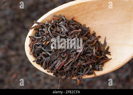 macro de thé noir en vrac à longue feuille dans une cuillère en bois Banque D'Images