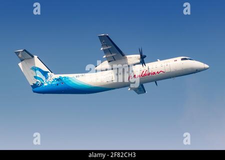 Homme, Maldives – 19 février 2018 : avion Bombardier DHC-8-300 de Maldiviens à l'aéroport de Malé (MLE) aux Maldives. Banque D'Images