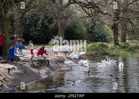 Creux Ponds, Epping Forest, Laytonstone, Londres, Royaume-Uni Banque D'Images