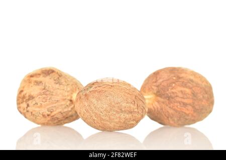 Trois noix de muscade rondes bio, aromatiques, brunes et épicées sur fond blanc. Banque D'Images