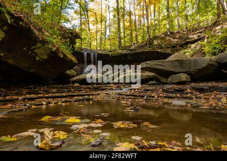 Les feuilles flotent dans la piscine sous les Blue Hen Falls à Cuyahoga Parc national de Valley Banque D'Images