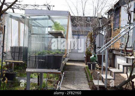 jardin de printemps utilisant des effets de serre à petite échelle Banque D'Images