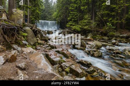 Chute d'eau sauvage 'dziki Wodospad' à côté du sentier de montagne à Giant Montagnes Banque D'Images