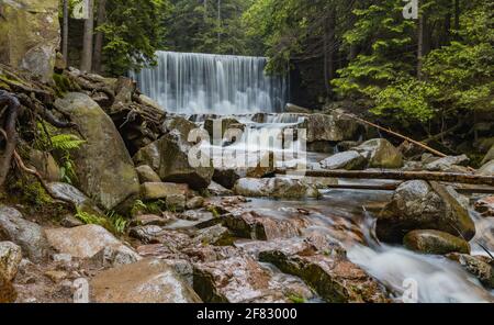 Chute d'eau sauvage 'dziki Wodospad' à côté du sentier de montagne à Giant Montagnes Banque D'Images