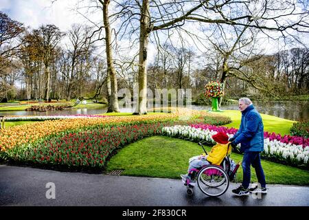 Le jardin de Keukenhof à Lisse, pays-Bas, est ouvert temporairement aux visiteurs, le 11 avril 2021. En raison de la pandémie de corona, le parc floral a été fermé aux visiteurs. Pour un week-end, de Keukenhof est accessible aux personnes qui peuvent montrer un test de corona négatif, effectué par un lieu de test désigné, test d'accès. Photo de Robin Utrecht/ABACAPRESS.COM Banque D'Images