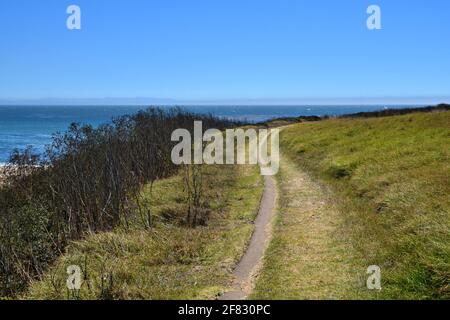 Sentier de randonnée panoramique surplombant l'océan Pacifique au parc national Wilder Ranch à Santa Cruz, Californie, États-Unis. Banque D'Images