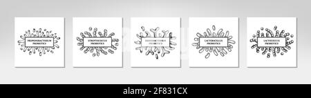 Jeu de cadres probiotiques dessinés à la main. Conception pour l'emballage et l'information médicale. Illustration vectorielle dans le style d'esquisse Illustration de Vecteur