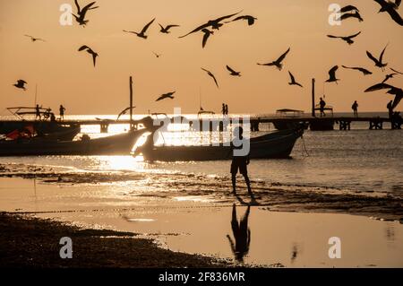 Silhouette d'une vue panoramique de la plage sur l'île des Caraïbes de Holbox au Mexique au coucher du soleil. En arrière-plan oiseaux en vol, bateaux de pêche Banque D'Images