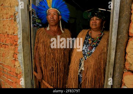 ilheus, bahia / brésil - 13 février 2014: les indiens de l'ethnie Tupinamba sont vus dans le village d'Itapoa dans le district d'Olivenca dans la ville de Banque D'Images