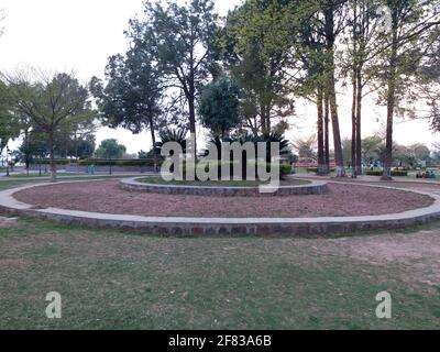 Arbre jardin Banque D'Images