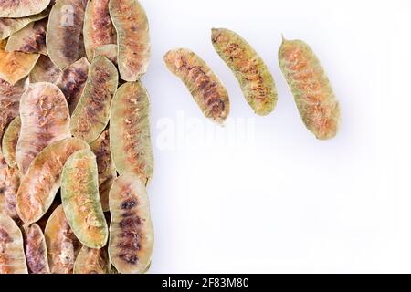 Acacia PODS - Senna alexandrina - Cassia acutifolia. Arrière-plan blanc Banque D'Images
