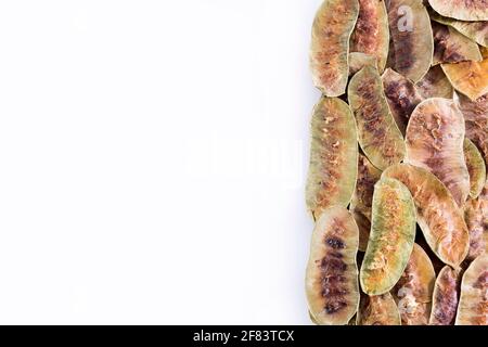 Acacia PODS - Senna alexandrina - Cassia acutifolia. Arrière-plan blanc Banque D'Images