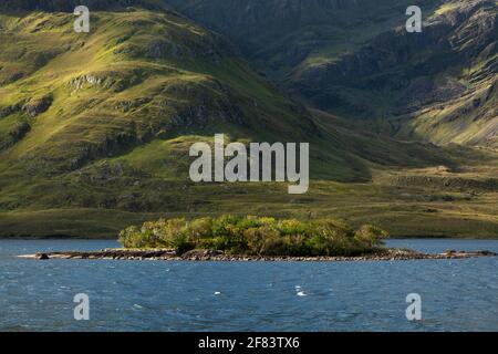 Île d'arbres sur le lac dans la vallée de la montagne de Doolough La voie de l'Atlantique sauvage à Mayo en Irlande Banque D'Images