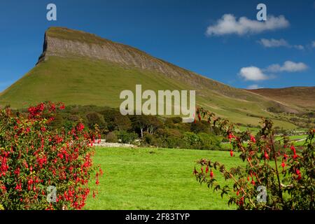 La montagne de Benbulben sur la voie de l'Atlantique sauvage à Sligo in Irlande Banque D'Images