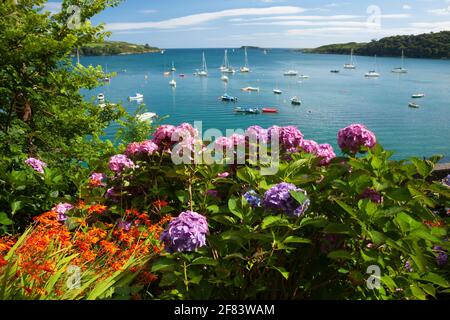 Glandore Bay sur la Wild Atlantic Way à West Cork En Irlande Banque D'Images