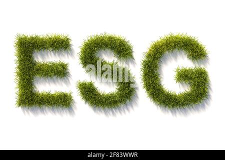 Vert herbe lettres ESG isolé et blanc avec des ombres. Concept de normes ESG (environnement social Governance) en matière d'investissement. Banque D'Images